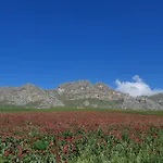 Séjour à la ferme Crapa Licca