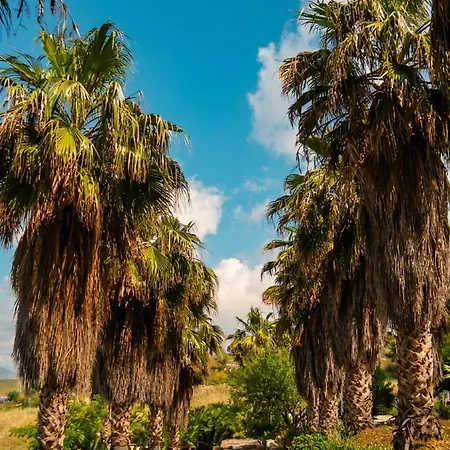 Crapa Licca Farma Ventimiglia di Sicilia