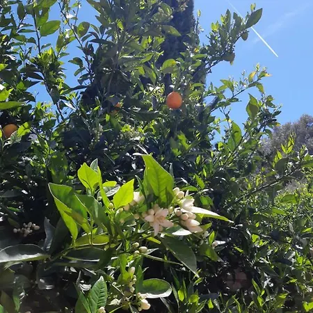 Crapa Licca Ventimiglia di Sicilia