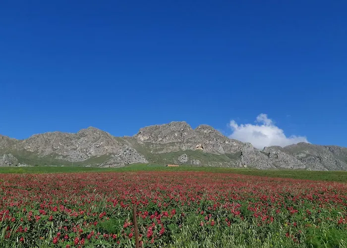 Vakantieboerderij Crapa Licca