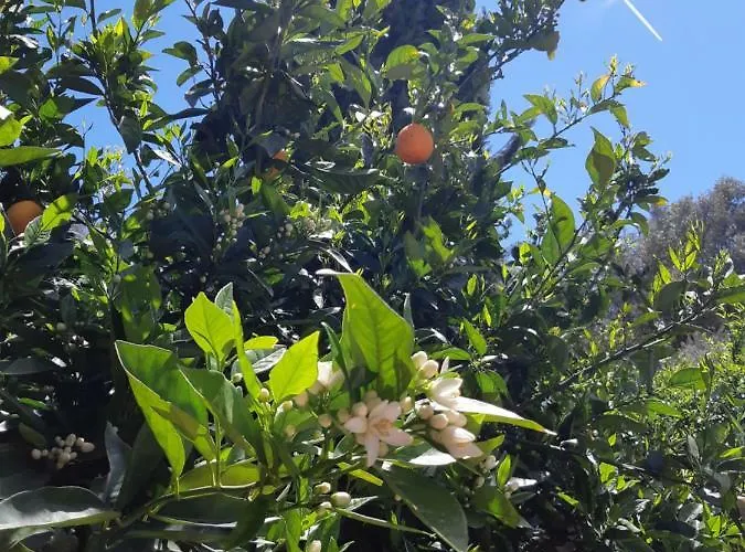 Crapa Licca Ventimiglia di Sicilia